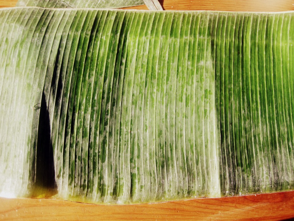 plantain leaf