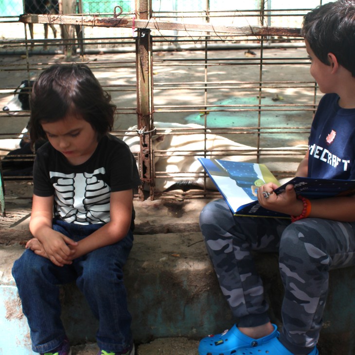 Sasfa Kids Reading Program