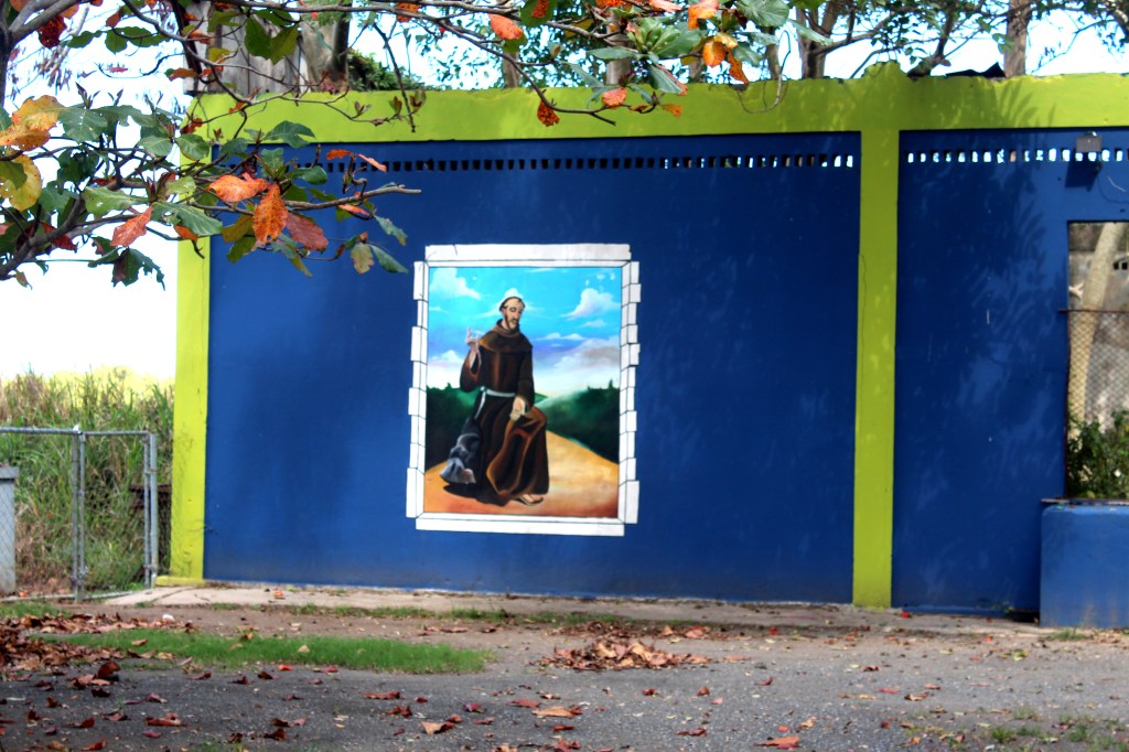 Activists on Vacation: 300 Dogs in the&nbsp;Tropics