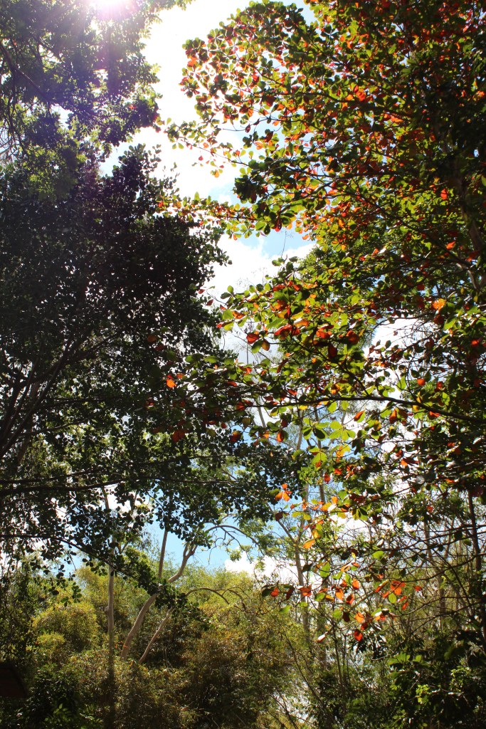 In the Sanctuary, you breathe love.